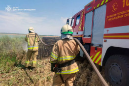 В екосистемах Дніпропетровщини протягом минулої доби сталося 67 пожеж3