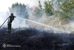 За добу на Дніпропетровщині вогонь знищив понад 68 гектарів екосистем0