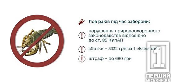 Любителям річкового делікатесу доведеться утриматися: на Дніпропетровщині вступає в силу заборона на вилов раків1