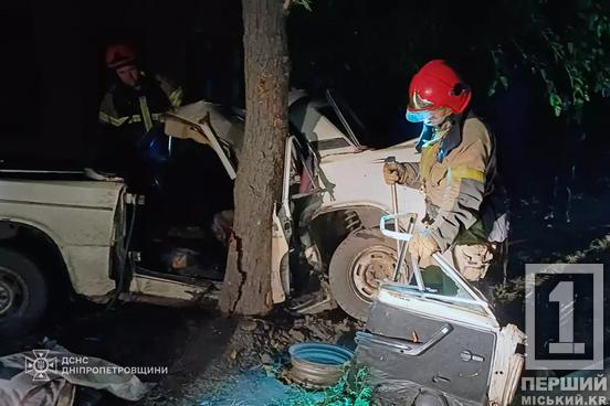 Машина розклалась об дерево: у Центрально-Міському районі Кривого Рогу труп водія вирізали з авто1