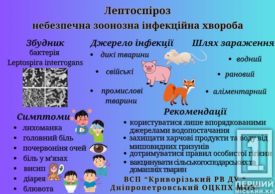 Невчасний похід у лікарню – загибель: у Кривому Розі через лептоспіроз померла людина, як захиститися1