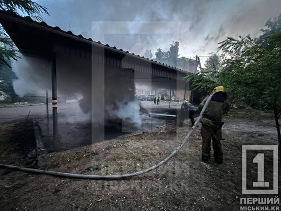 «Передок» був у вогні: у Центрально-Міському районі Кривого Рогу горів Ford Transit1