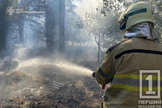 Дніпропетровщина в огні: бушуючі пожежі за добу спалили понад 280 га відкритих територій5