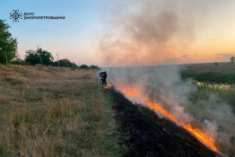 На Дніпропетровщині не вщухають пожежі в екосистемах, за минулу добу ліквідовано 54 займання4