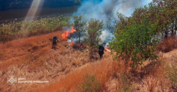 На Криворіжжі палало Дичанське лісництво: рятувальники ліквідували пожежу