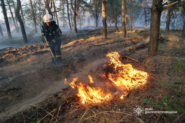 На Криворіжжі палало Дичанське лісництво: рятувальники ліквідували пожежу2