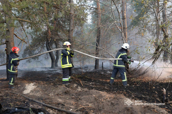 На Криворіжжі палало Дичанське лісництво: рятувальники ліквідували пожежу5