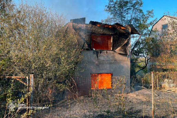 На Криворіжжі палало Дичанське лісництво: рятувальники ліквідували пожежу4