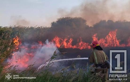 На Криворіжжі вогонь пошкодив житлову забудову: минулої доби у регіоні загоряння випалили понад 159 гектар землі