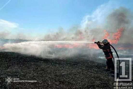 На Криворіжжі вогонь пошкодив житлову забудову: минулої доби у регіоні загоряння випалили понад 159 гектар землі2