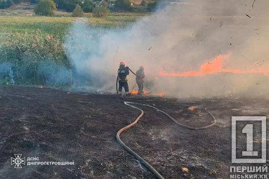 На Криворіжжі вогонь пошкодив житлову забудову: минулої доби у регіоні загоряння випалили понад 159 гектар землі9