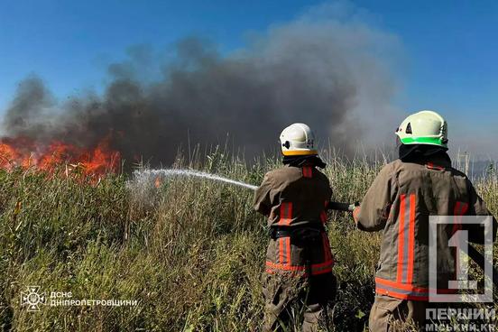 На Криворіжжі вогонь пошкодив житлову забудову: минулої доби у регіоні загоряння випалили понад 159 гектар землі1