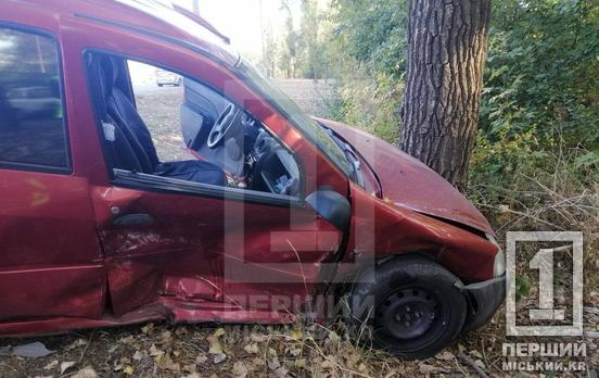 Одна з потрощених автівок влетіла в дерево: у Кривому Розі поблизу ПівдГЗК ДТП з Volkswagen та Dacia