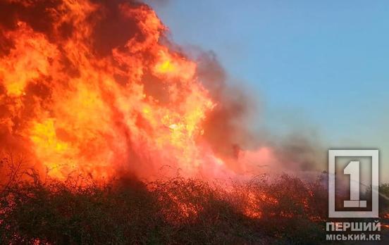 Пекло на Дніпропетровщині: минулої доби екосистеми палали 95 разів