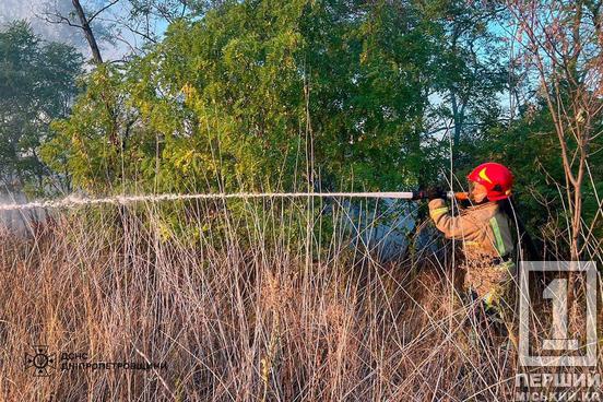 Пекло продовжується: Дніпропетровщина за добу палала 48 разів1