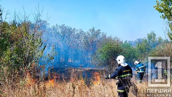 Пожежі не вщухають: за минулу добу на Дніпропетровщині вигоріло 45 га угідь2