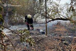 За минулу добу вогнеборці Дніпропетровщини загасили понад 60 пожеж0