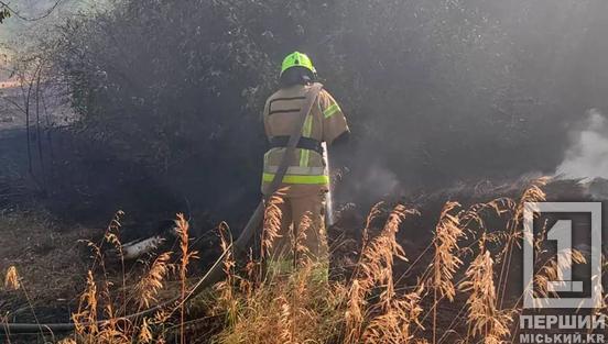 Знищено 8 га підстилки: у Тернівському районі вирувала лісова пожежа3