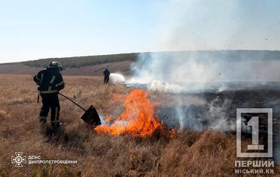 Гектари чорнозему у попелі: на Дніпропетровщині минулої доби вирувало 88 пожеж під відкритим небом