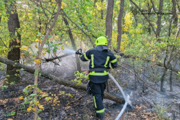 На Дніпропетровщині значно зросла кількість пожеж в екосистемах2