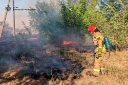 На Дніпропетровщині значно зросла кількість пожеж в екосистемах3