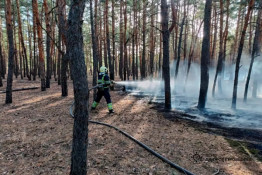 На Дніпропетровщині значно зросла кількість пожеж в екосистемах4