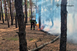 На Дніпропетровщині значно зросла кількість пожеж в екосистемах0