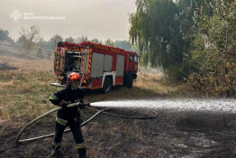 Протягом минулої доби вогонь знищив на Дніпропетровщині 48 га екосистем4