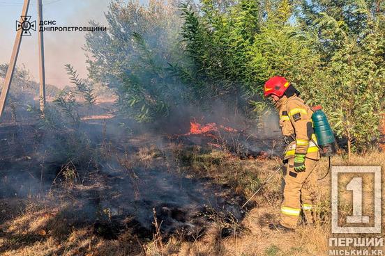 Вогонь продовжує знищувати область: за минулу добу рятувальники Дніпропетровщини ліквідували 71 пожежу3