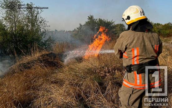 Вогонь продовжує знищувати область: за минулу добу рятувальники Дніпропетровщини ліквідували 71 пожежу