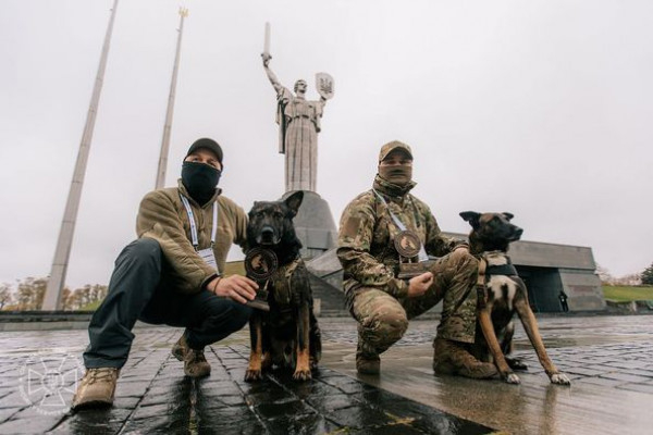 Чотирилапі захисники «К-9» СБУ Рем і Фінч отримали нагороди за захист України0