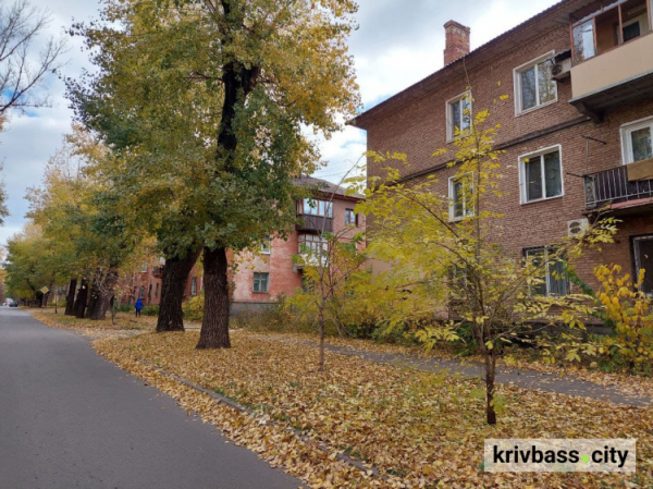 Культурний вікенд у Кривому Розі: дайджест подій 9 та 10 листопада