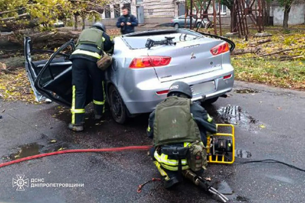 На Дніпропетровщині дерево впало на авто: загинув чоловік2