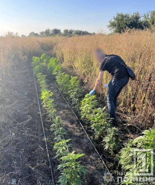 Розгром масштабного наркокартелю: на Дніпропетровщині поліція знешкодила угруповання, що постачало наркотиків на мільйони3