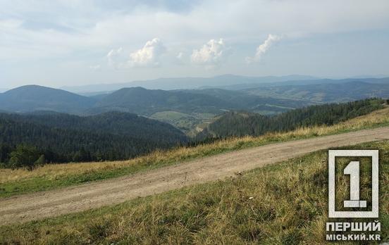 У заповідниках більше не буде джипінгу: нардепи проголосували за законопроєкт