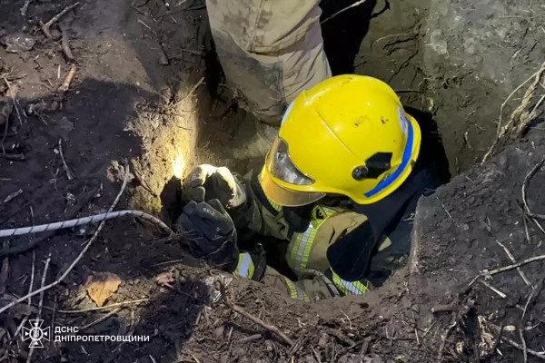 Криворізькі надзичайники врятували цуценят із пастки1