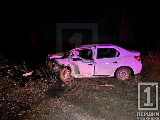 Потужний «лоб в лоб» між Renault і Lada: поблизу Інгульця аварія відправила трьох людей на лікарняні ліжка1