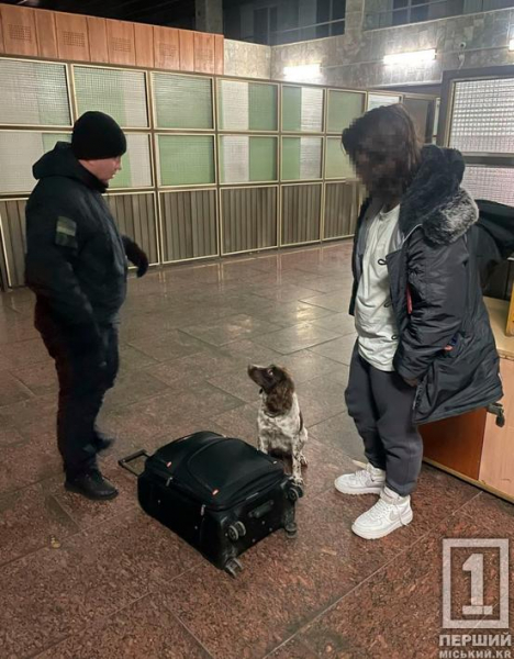 З натренованими собаками – не пошуткуєш: мешканець Дніпропетровщини хотів вивезти наркотик до Польщі2