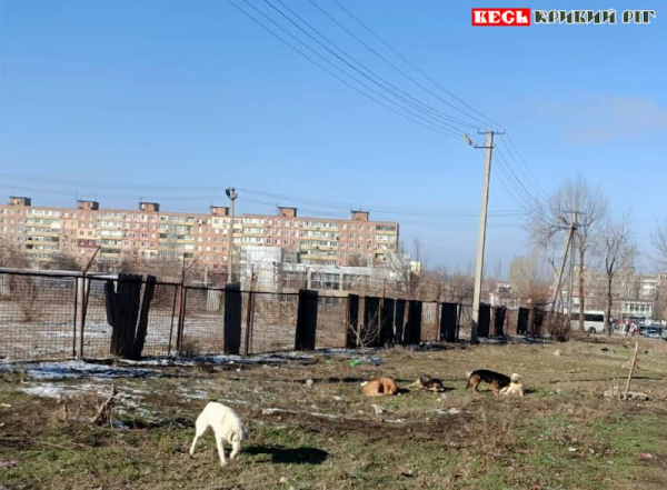 Лютневий ранок на Бульварі Вечірньому в Кривому Розі