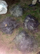 Браконьєри на Саксагані: у Кривому Розі та районі викрито масштабні порушення рибного законодавства3