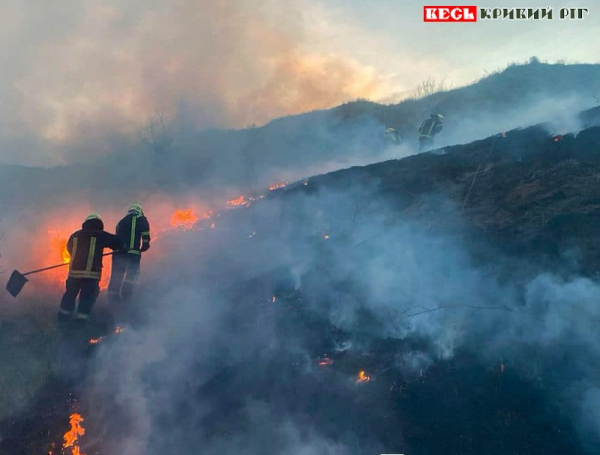 Гасіння пожежі в екосистемі на Дніпропетровщині