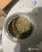 23-річний житель Кривого Рогу створив злочинну групу, яка займалася збутом наркотиків: заборонені речовини пересилали клієнтам поштою3