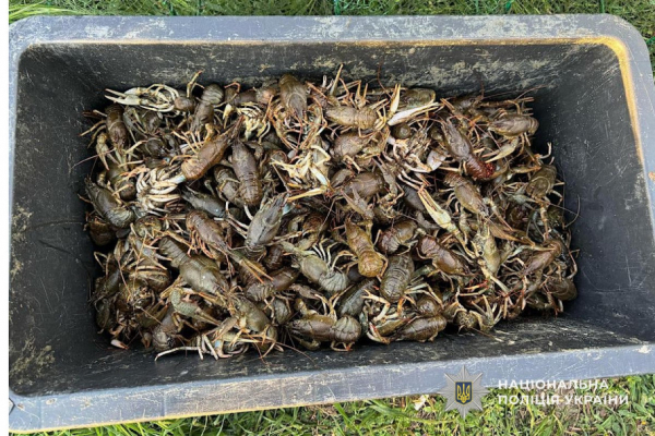 Наловив раків та риби майже на мільйон гривень: на Криворіжжі затримали браконьєра2