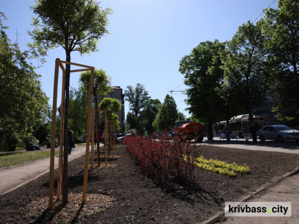 З любовʼю до міста: криворіжці озеленили понад 200 локацій до Дня довкілля4