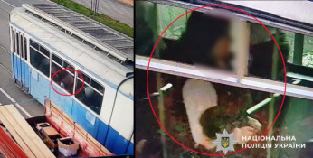 Двоє дівчат із Дніпропетровщини обікрали вінницьку пенсіонерку1