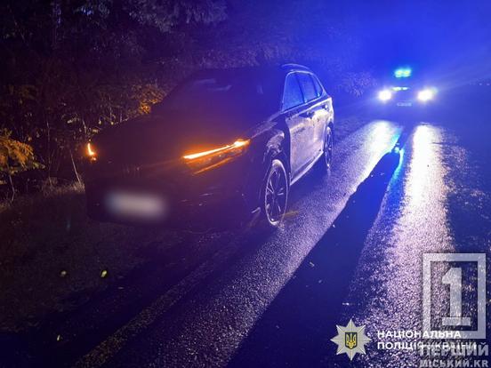 Миттєва смерть мотоцикліста у кюветі після зіткнення з HONDA: поліція шукає свідків ДТП на криворізькій трасі2