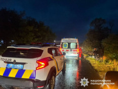 Поліція розшукує свідків смертельної ДТП поблизу села Зелений Яр2