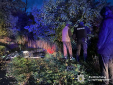 Поліція розшукує свідків смертельної ДТП поблизу села Зелений Яр0