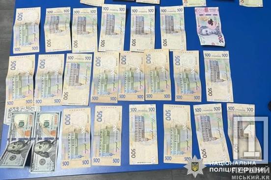 Скористалися чужою добротою: у Вінниці затримали 18-річну дівчину з Дніпропетровщини, яка обікрала пенсіонерку1