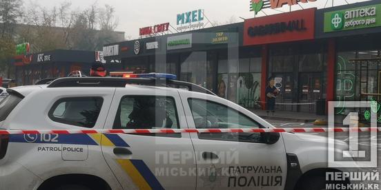 Тривога у Gagarin Mall: правоохоронці перевіряли на предмет мінування криворізький торговий центр1